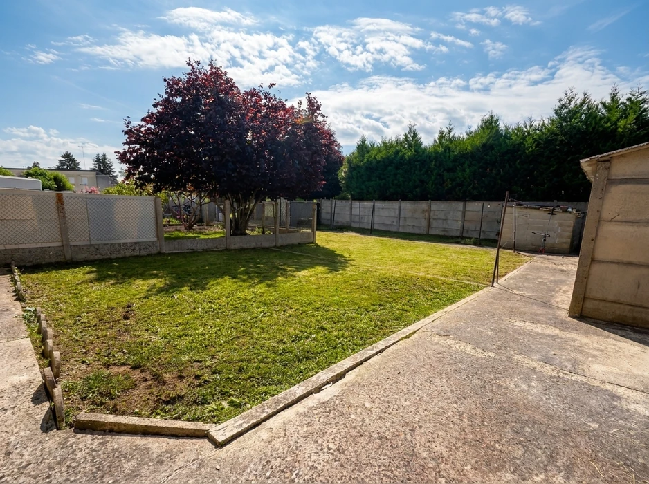 Jardin résidentiel clôturé, pelouse tondue, arbre à feuillage pourpre (prunus), haie de thuyas