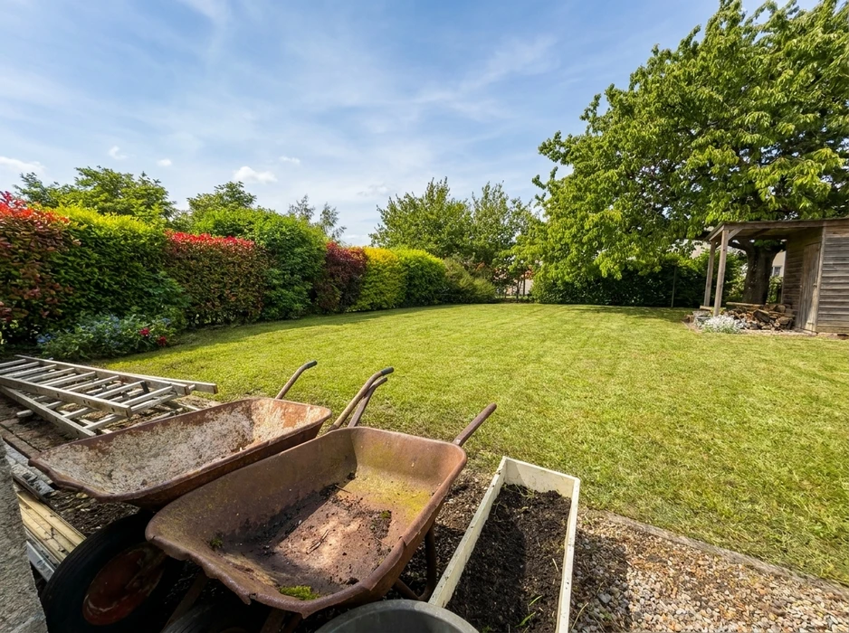 Jardin résidentiel spacieux avec pelouse tondue, bordures arbustives colorées (rouge, vert)