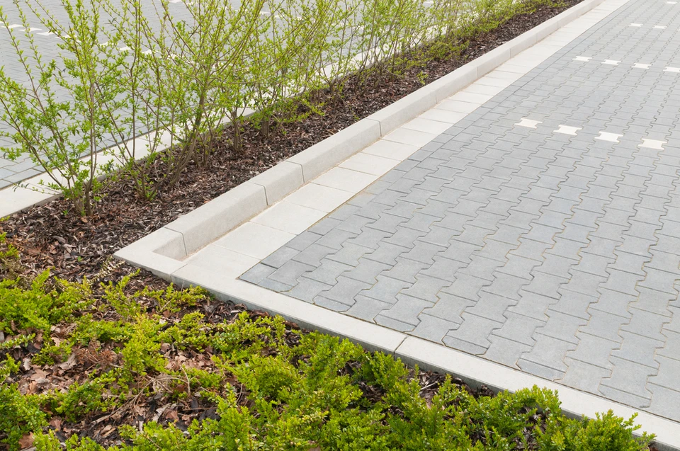 Aménagement paysager extérieur avec allée pavée en béton délimitée par bordures blanches préfabriquées