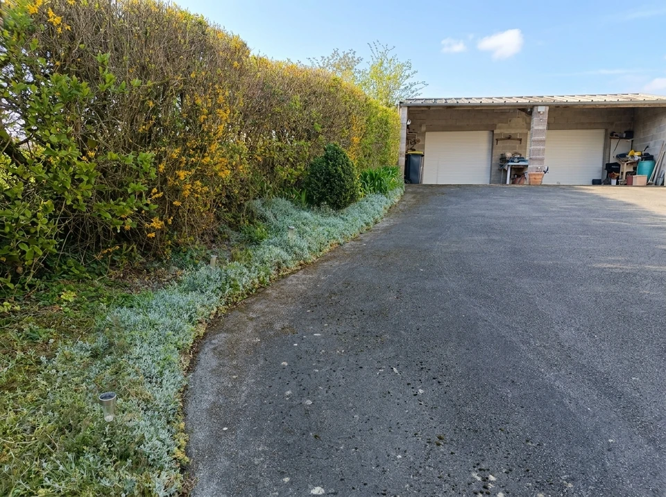 Jardin paysager avec pelouse verte fraîchement installée, allée de dalles en pierre naturelle traversant le gazon