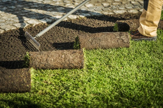 Scène extérieure avec mains tenant une poignée de graines de tournesol décortiquées dans les paumes ouvertes, arrière-plan flou terreux et naturel