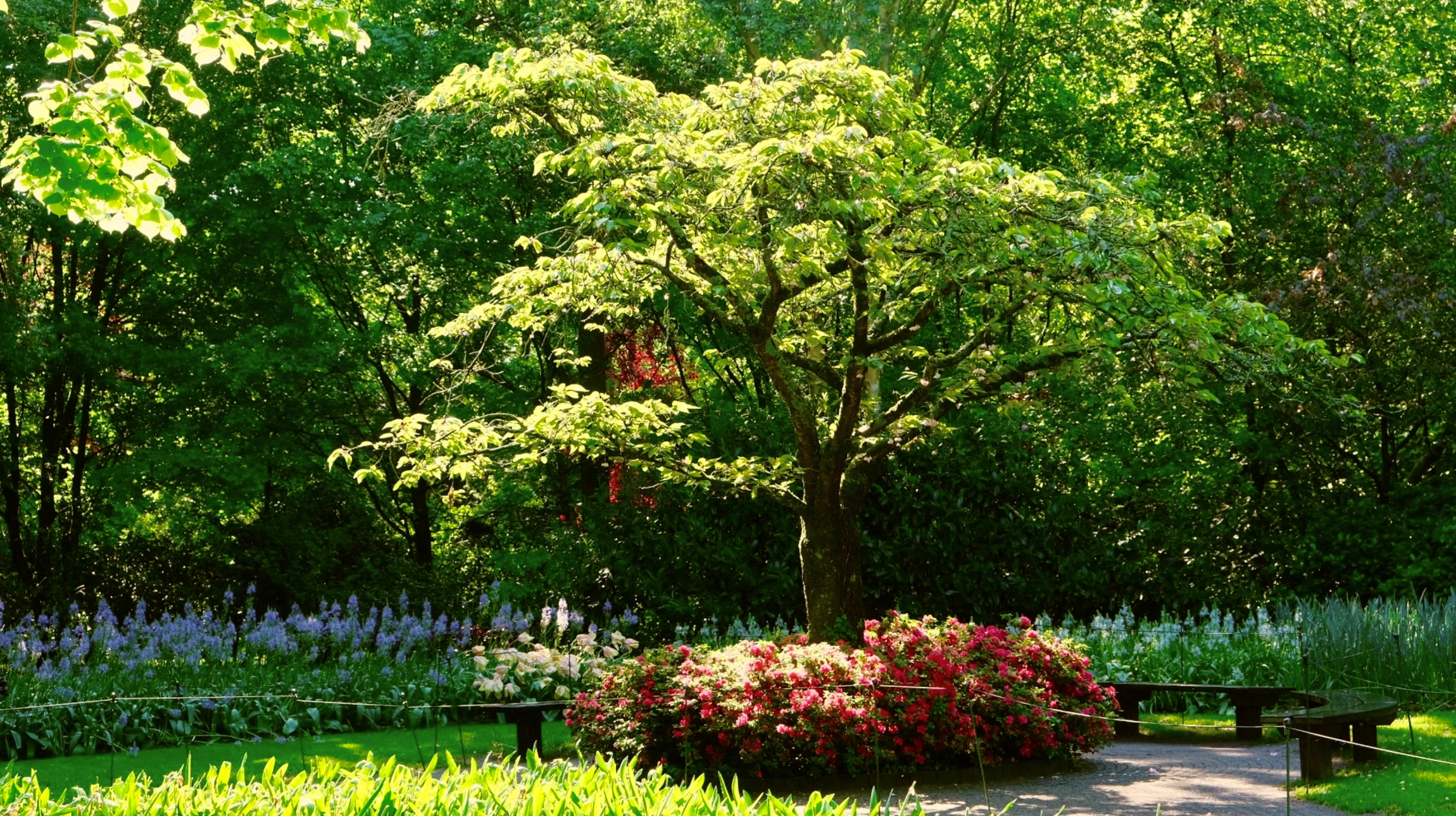 Jardin paysager extérieur avec massifs floraux colorés aménagés en plates-bandes géométriques