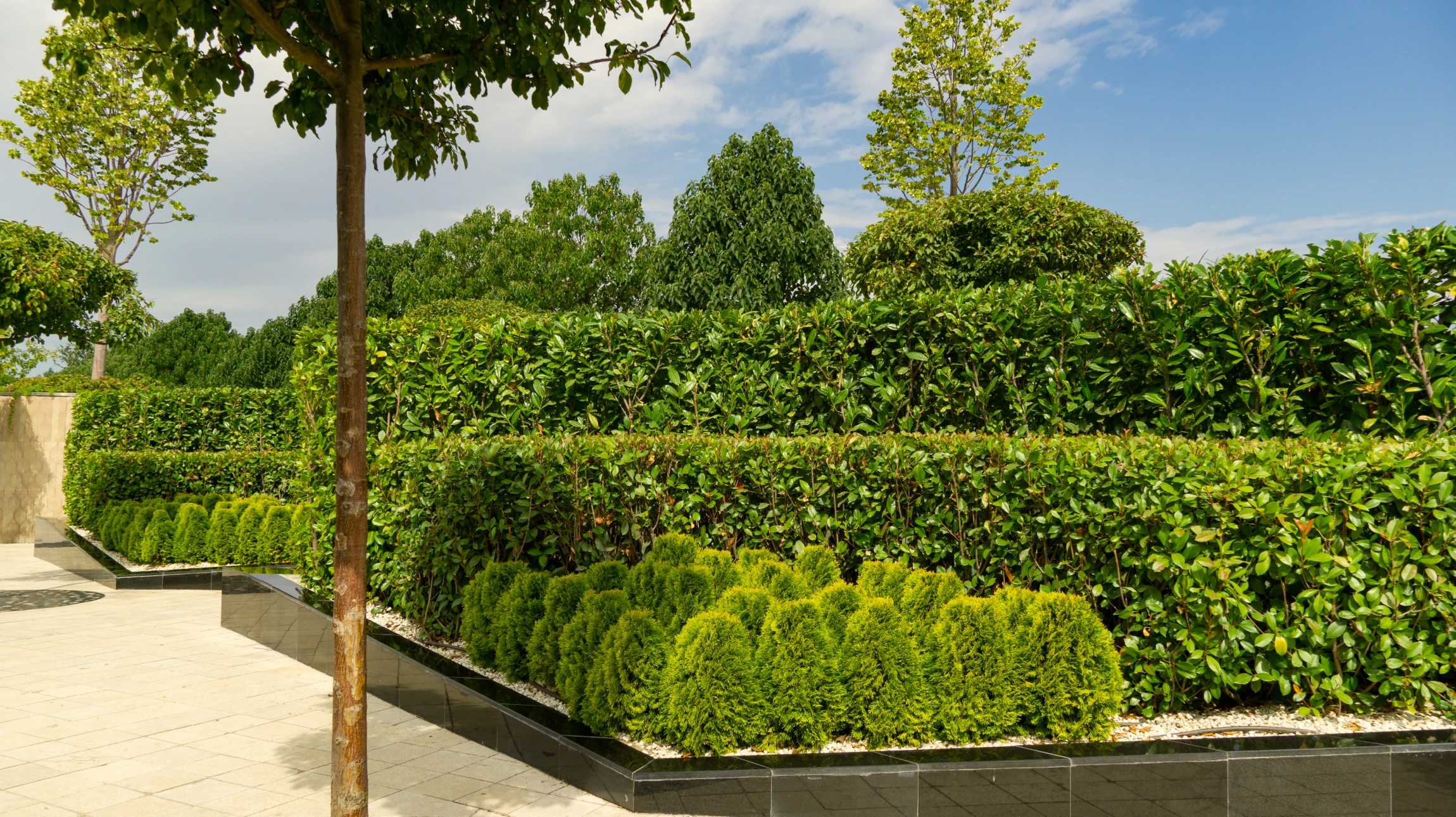 Jardin à la française avec parterres géométriques, buis taillés en topiaires coniques, pelouses entretenues et allées gravillonnées