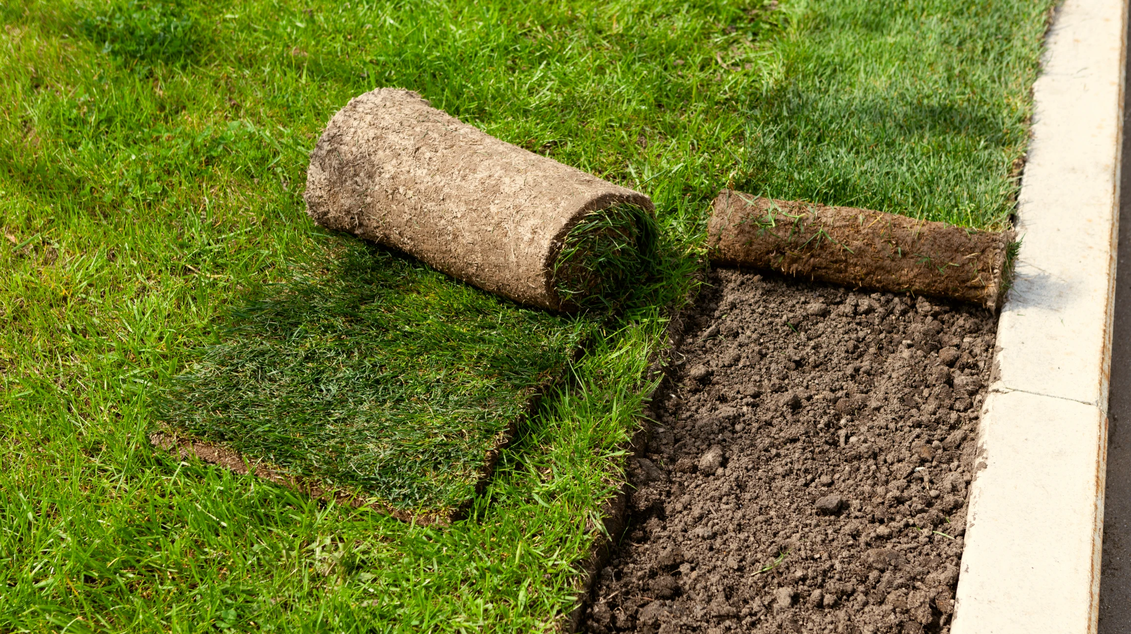 Scène extérieure de jardinage professionnel où un jardinier installe une pelouse en plaques